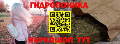 a pvp Гагарин