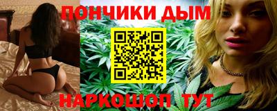 сатива Гай