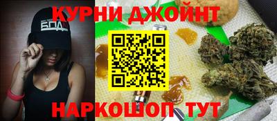 сатива Гай
