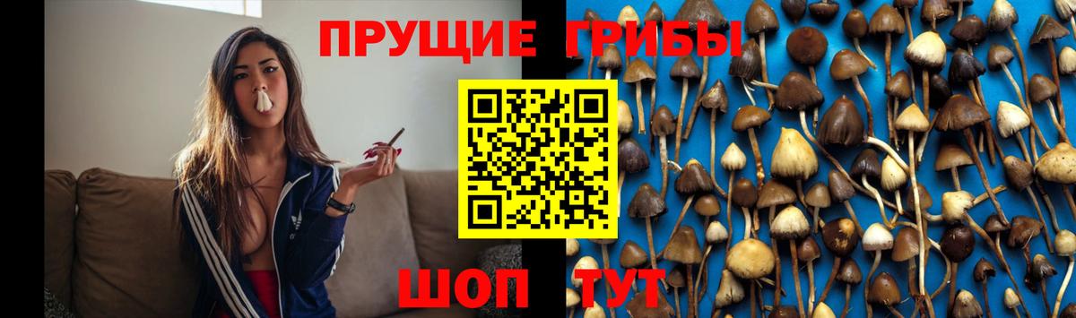 Обь  Галлюциногенные грибы мицелий  Вход с VPN 